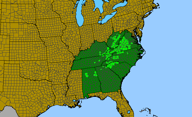 The range of Hexastylis heterophylla